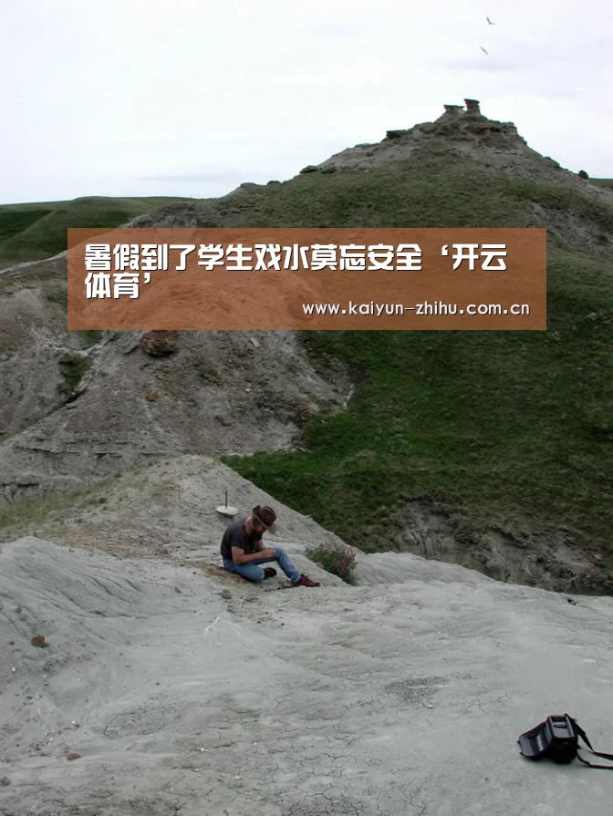 开云官网